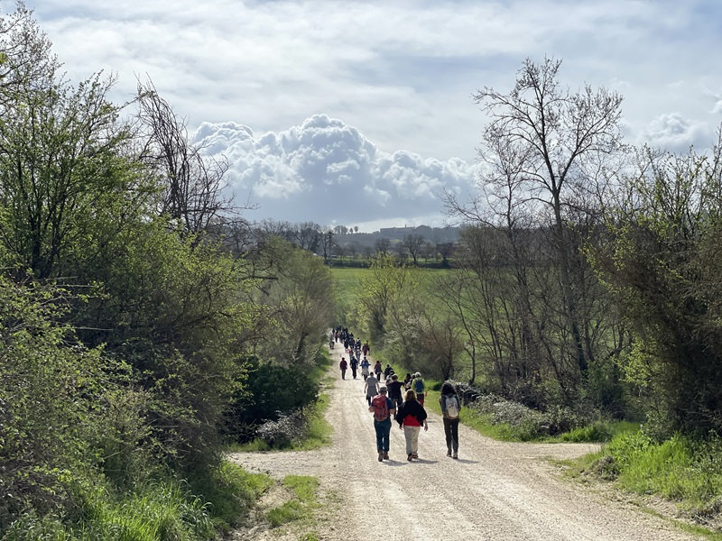 immagine notizia (ptn) Attigliano, al via domani la tre giorni di Road to Umbra Walking Ultramarathon (18-20 settembre)