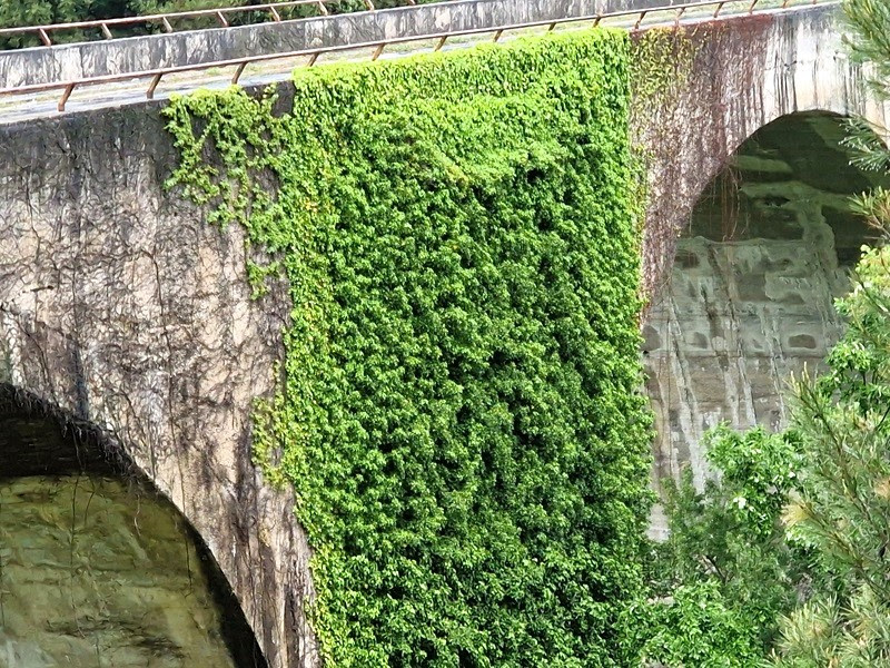 ponte narni