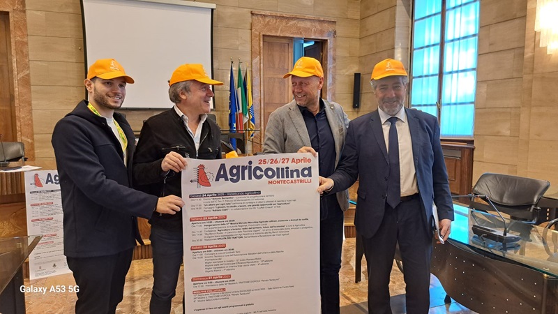 Agricollina