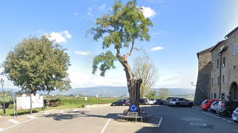 alberone porano
