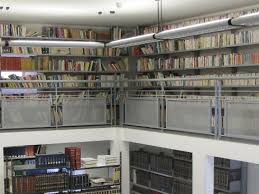 amelia biblioteca