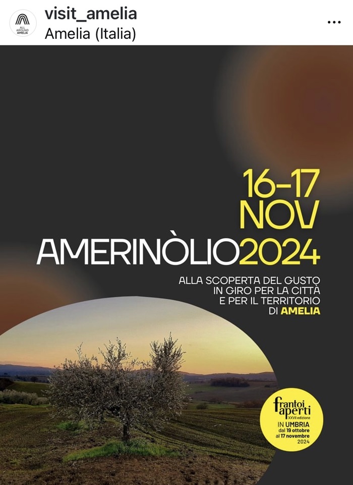 amerinolio 2024