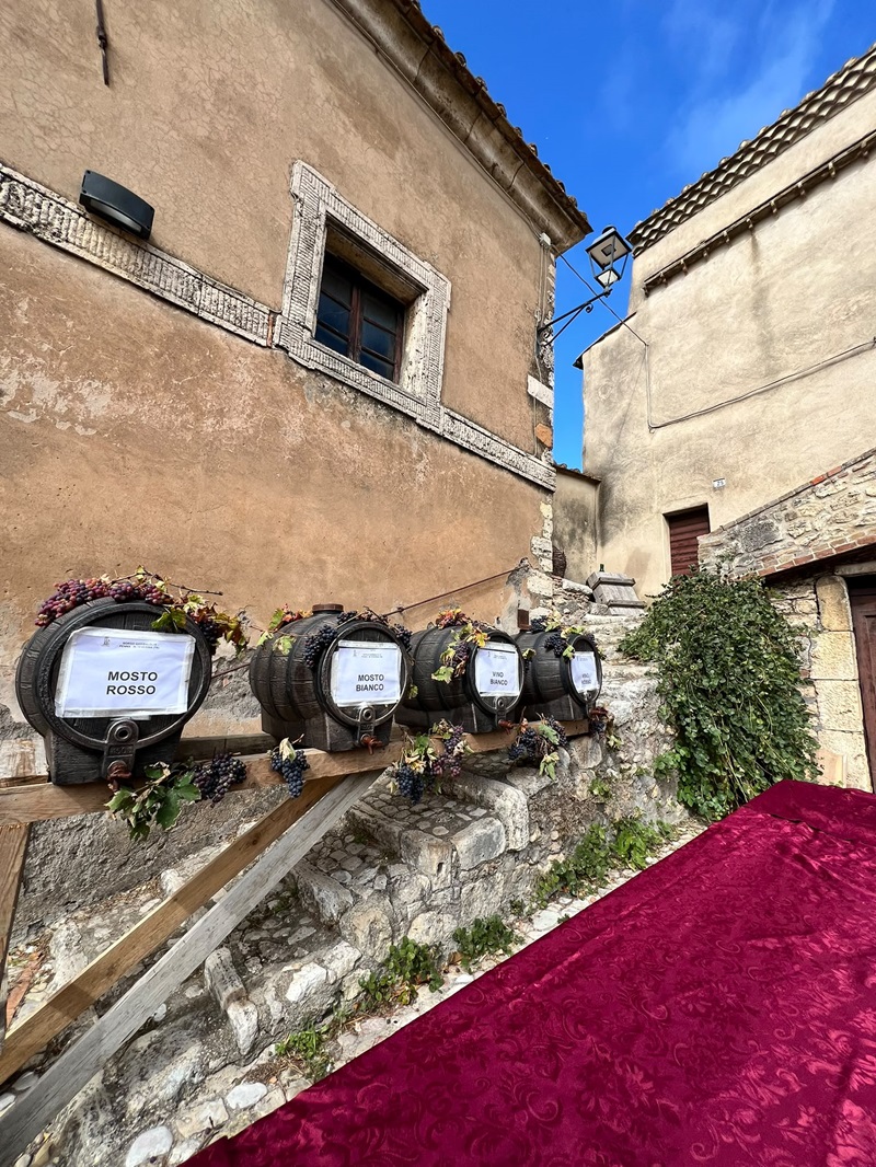 festa della vendemmia 