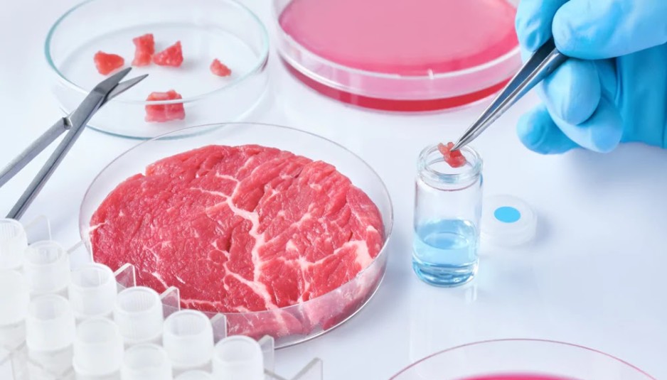 carne sintetica