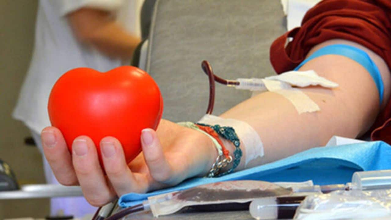 donatore sangue