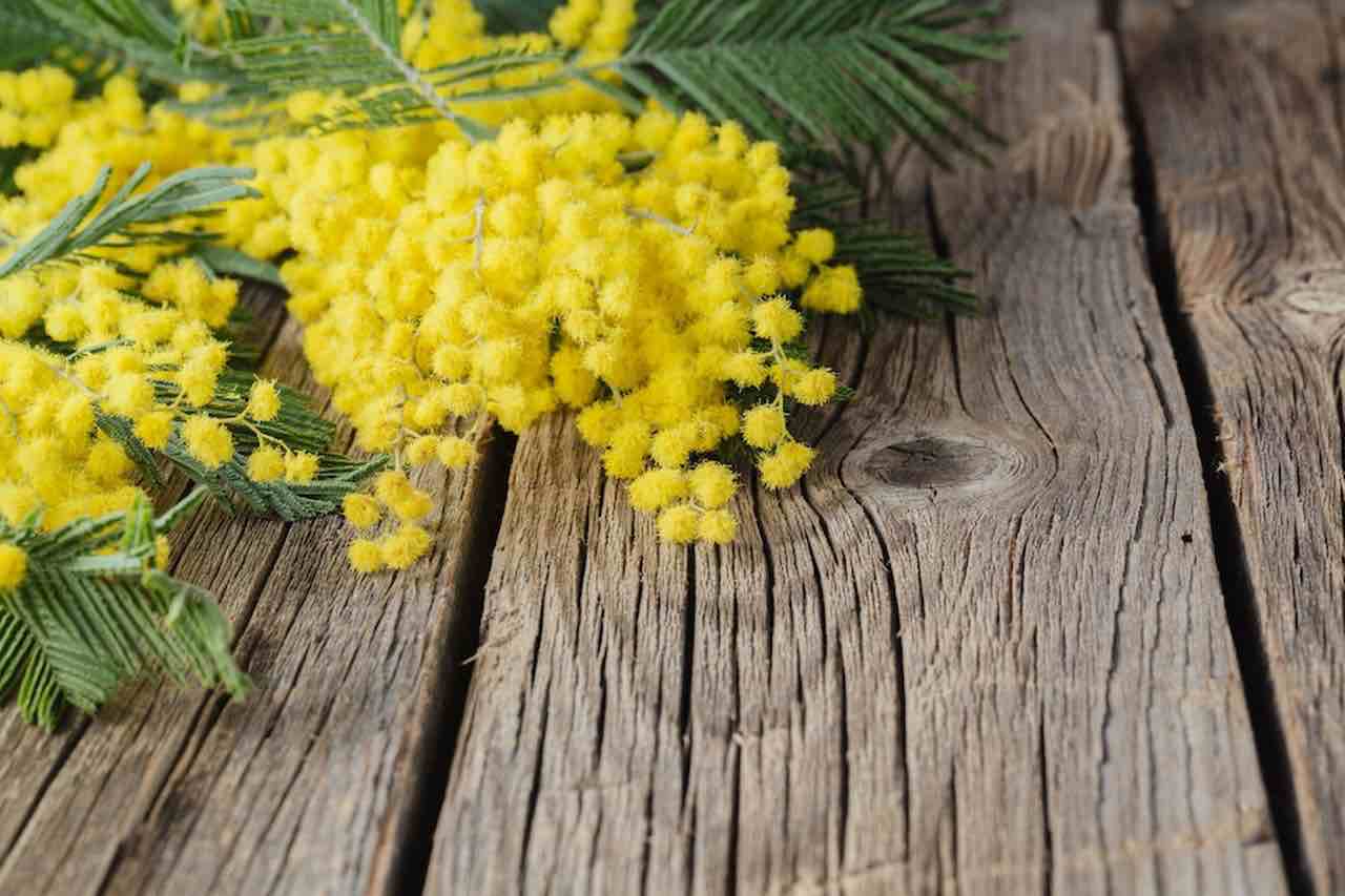 Festa della donna