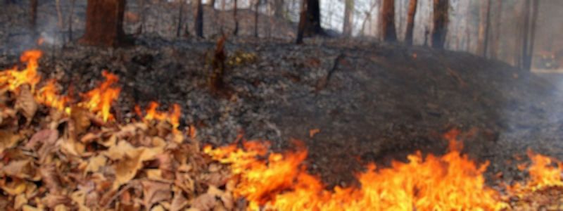 incendio