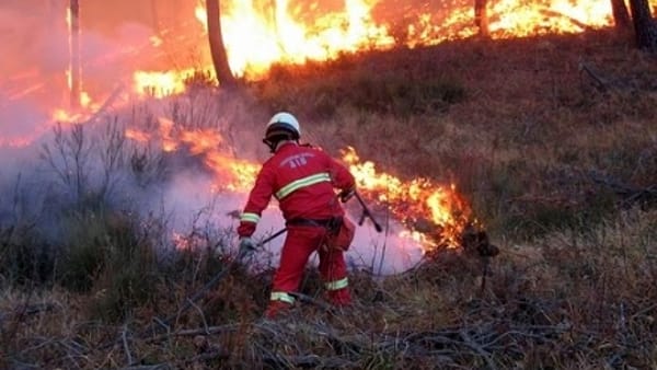 incendio bosco 