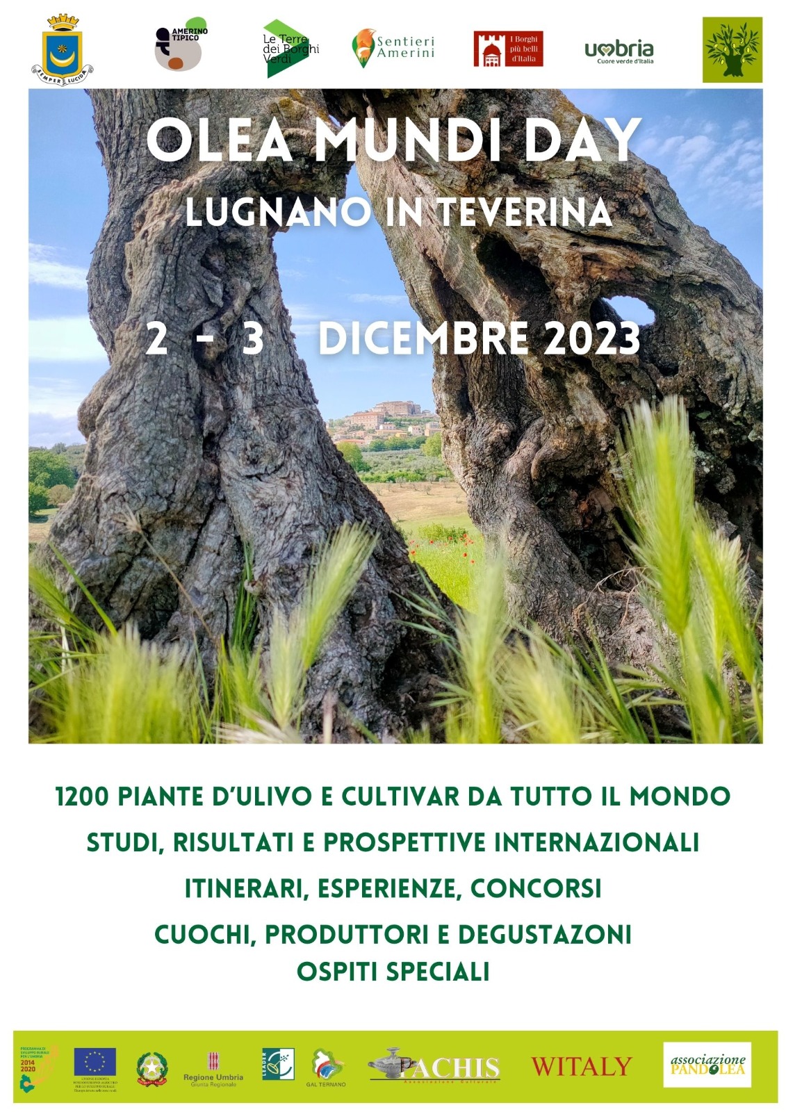 locandina olea mundi