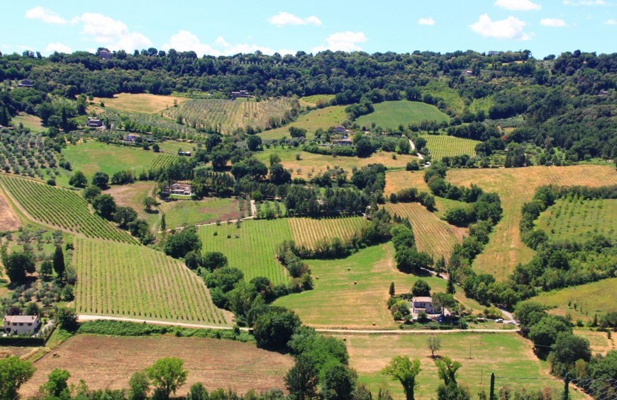 monte Peglia