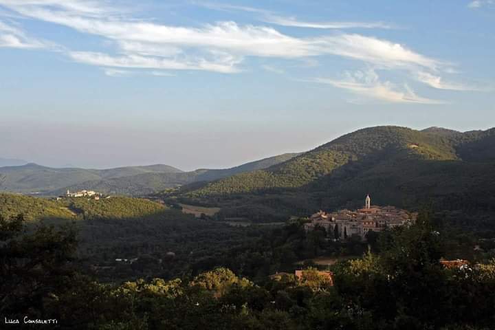 A Montecchio si punta sulla castagna