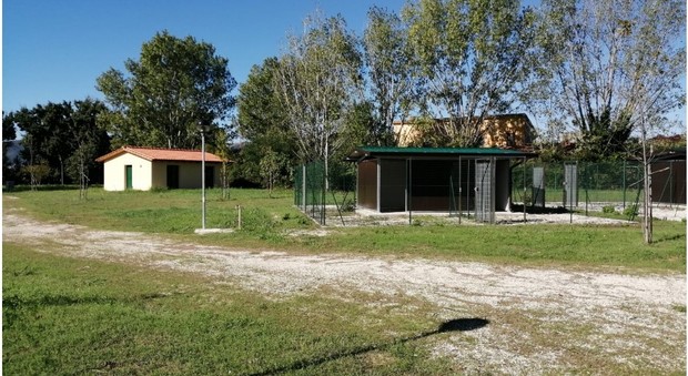 san crispino