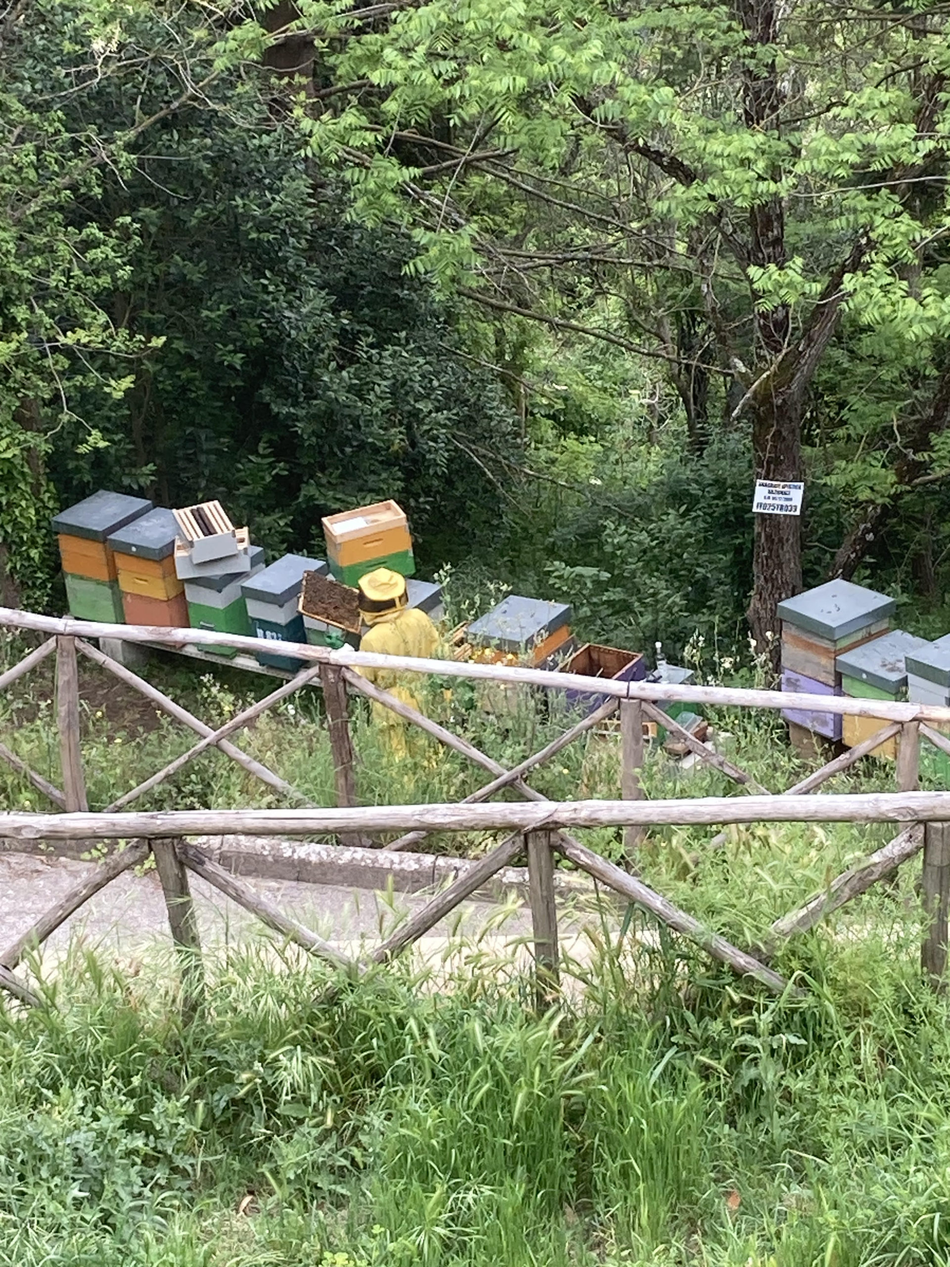 Parrano apiario 
