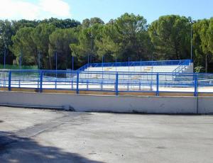 pattinodromo