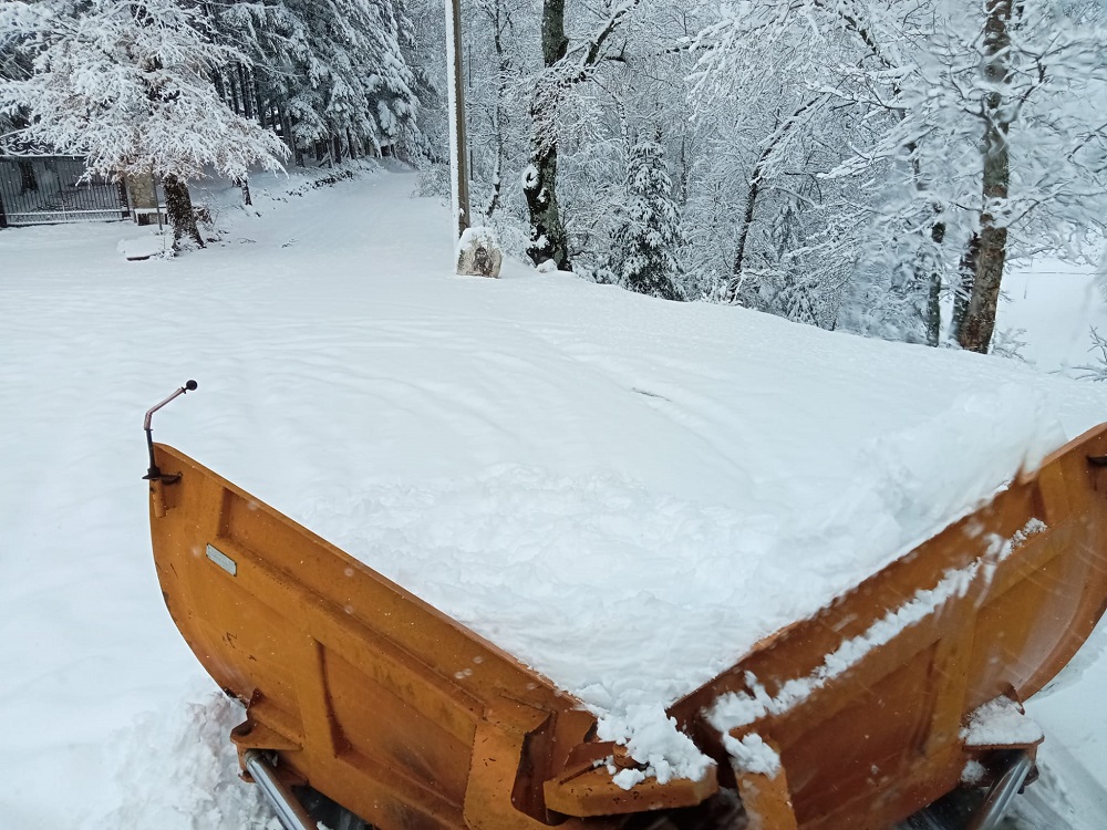 neve a Polino