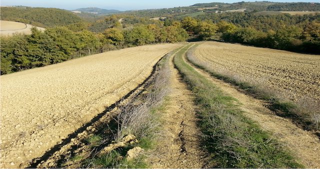 san venanzo