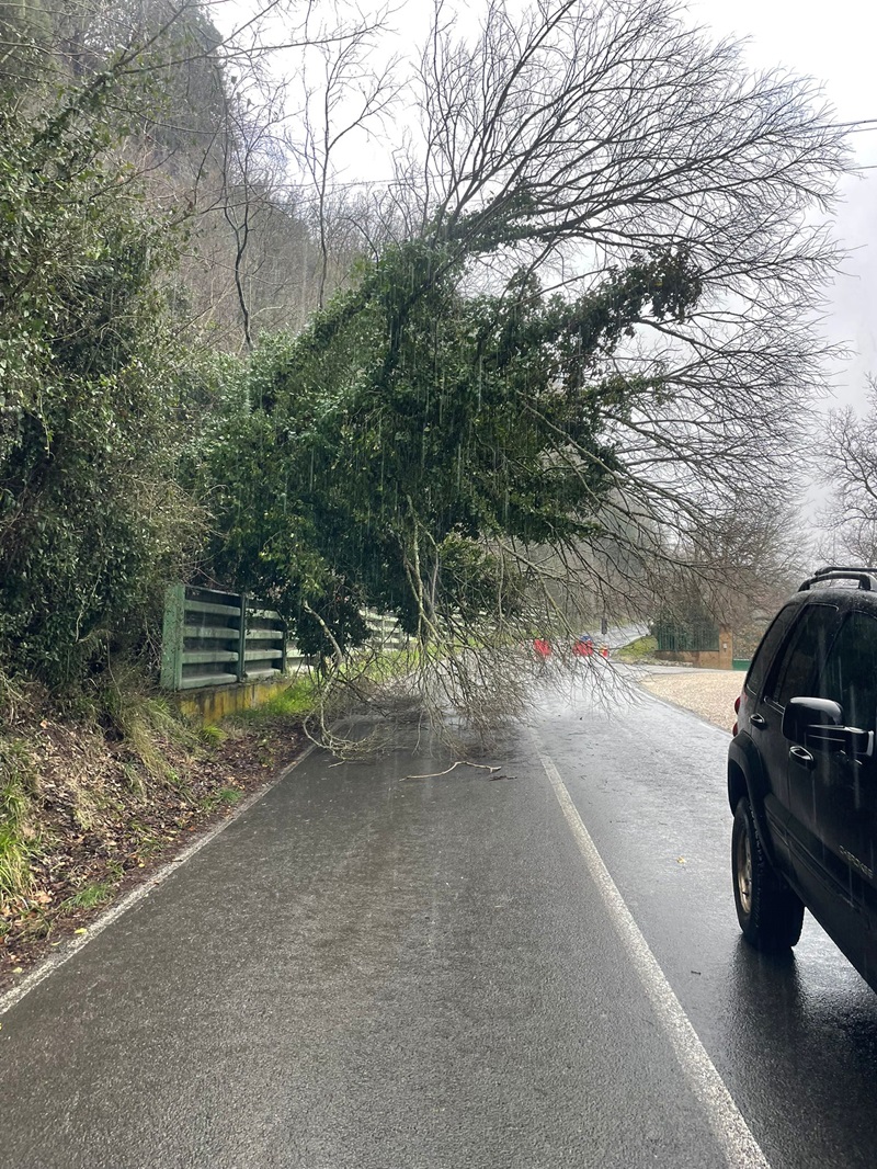 frana sp 12 bagnorese 