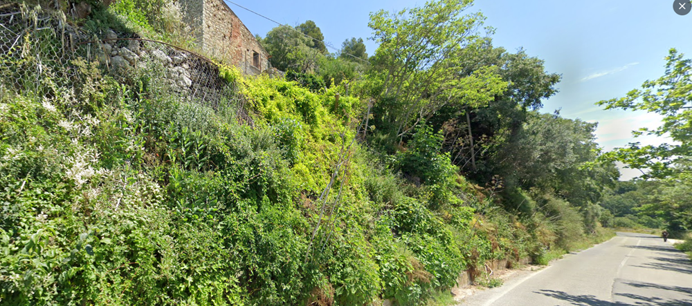 reti paramassi