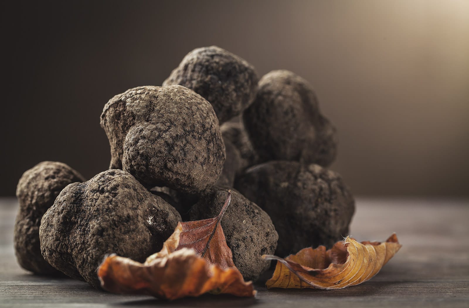 tartufi
