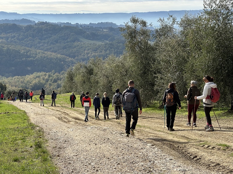 trekking ulivi