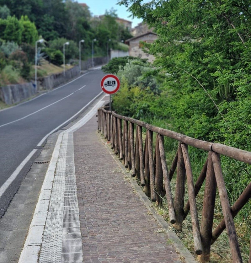 alviano verde